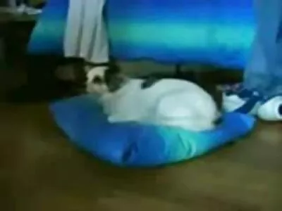 Още порно стари баби един по-добър ден.